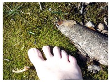 The simple pleasure of barefeet in the spring ♥